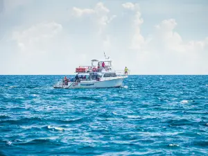 John Pennekamp Coral Reef State Park