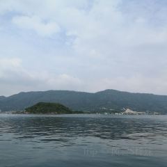 桂港海鮮城張用戶圖片