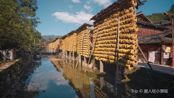 Dong Nationality Style Village of Zhanli
