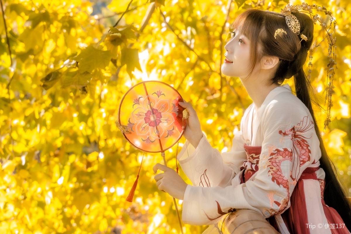 北海公園でおすすめの楽しみ方4つ