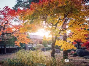 Popular Fall Viewing Attractions in Hida