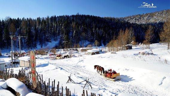 Snow Sledding in Hailin