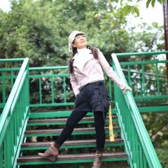 JIN PAI WAN XIAO YU CUN User Photo
