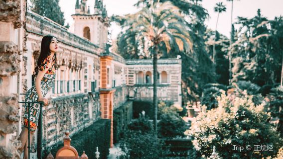 Royal Alcázar of Seville