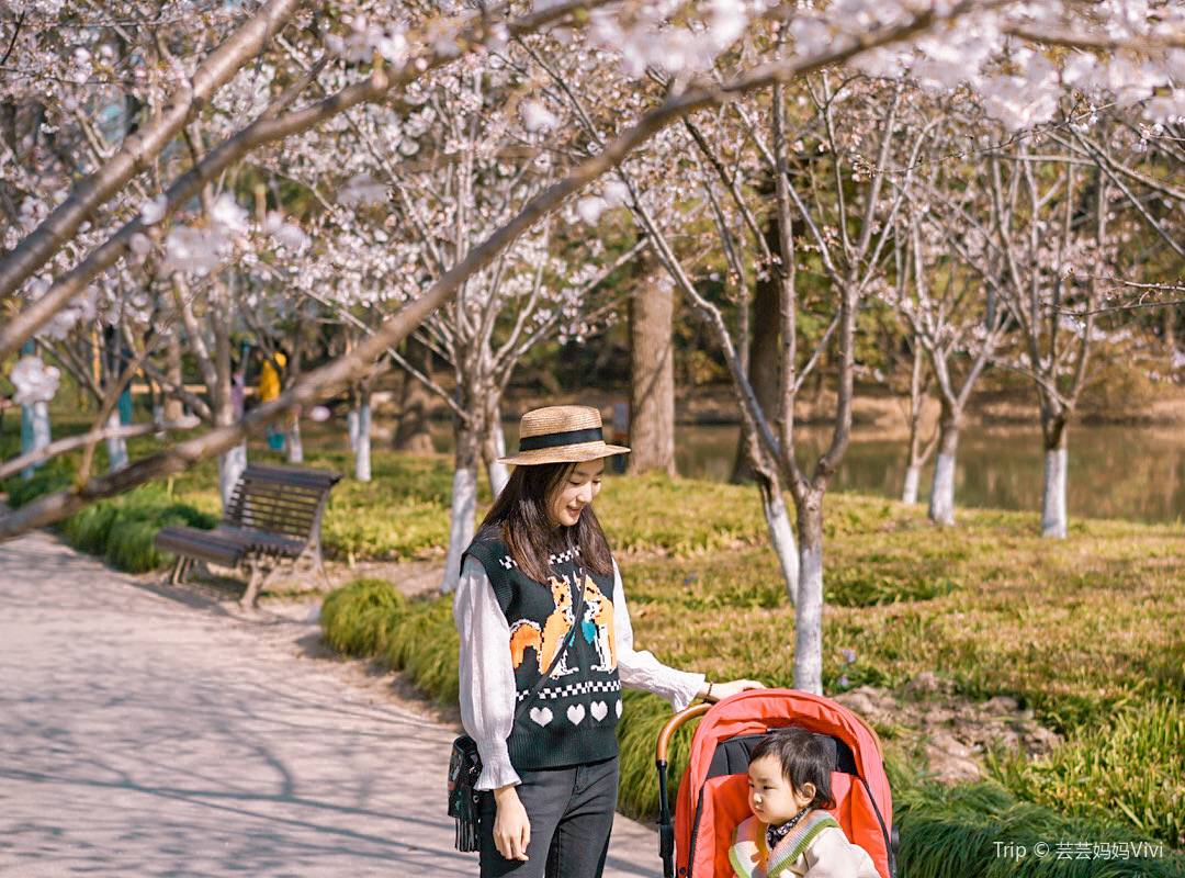 子連れの上海旅行の注意点・ポイント