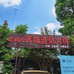 罗鸡肉·青城道柴火鸡(青城山店) User Photo
