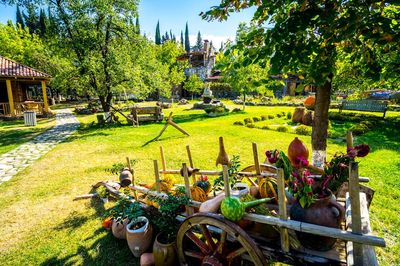 Shumi Winery Kakheti