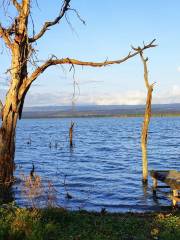 Lake Naivasha