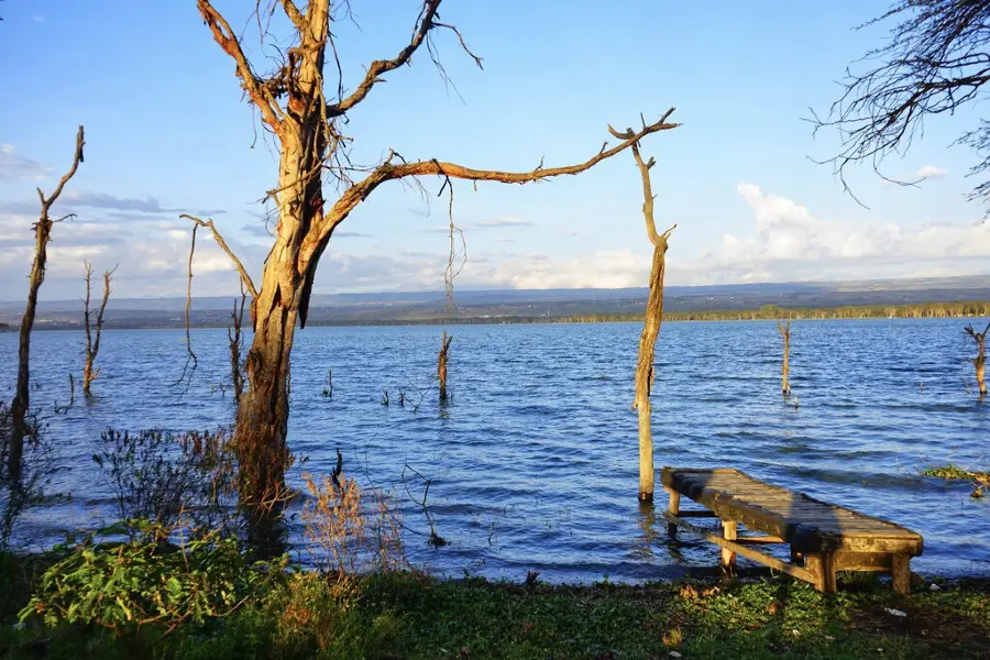 Lake Naivasha