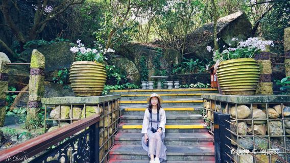 Private Tour with Admission Ticket: Tropical Paradise Forest Park + Yalong Bay Beach + Taiyang Bay Coastal Road