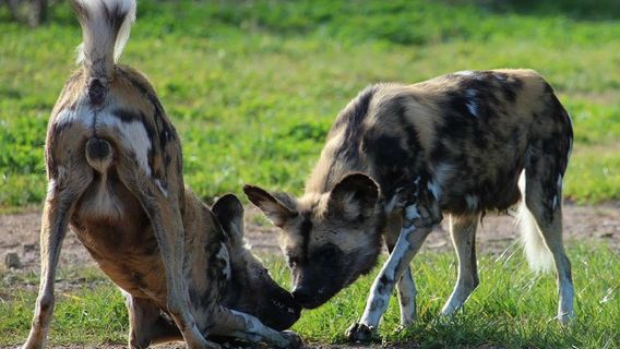 National Zoo & Aquarium