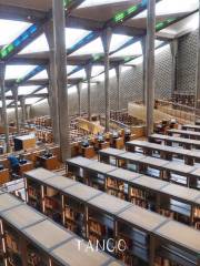 Biblioteca perduta di Alessandria