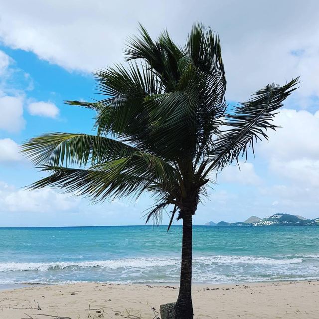 Vigie Beach