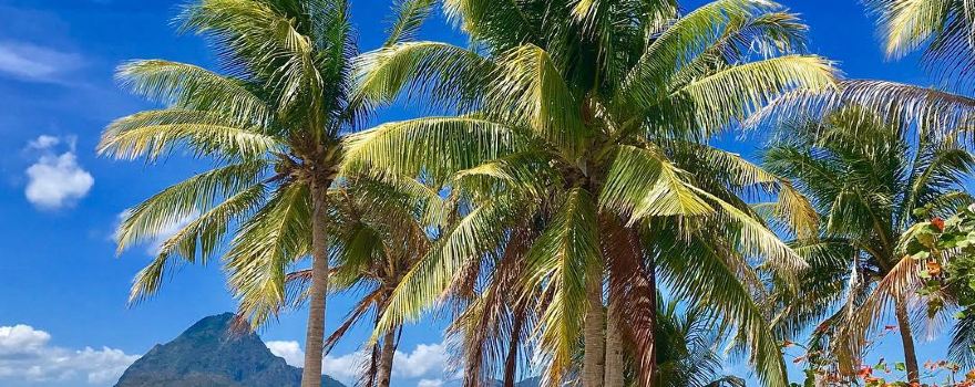 Agho Island