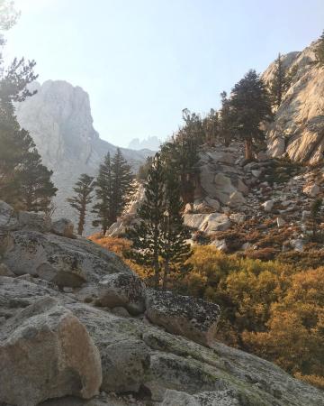 ホイットニー山のレビュー ホイットニー山のチケット ホイットニー山の割引 ホイットニー山の交通機関 所在地 営業時間 ホイットニー山周辺の観光スポット ホテル グルメ Trip Com