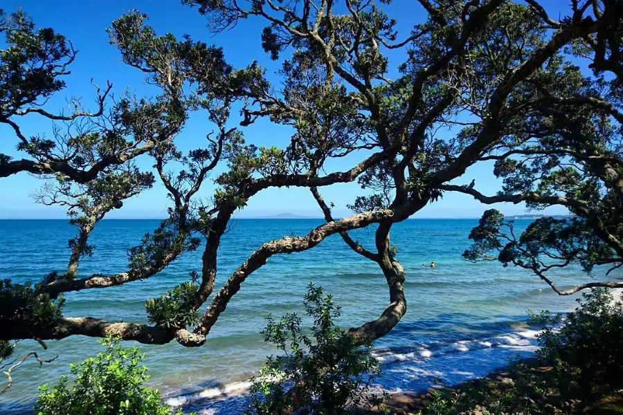 Little Manly Beach