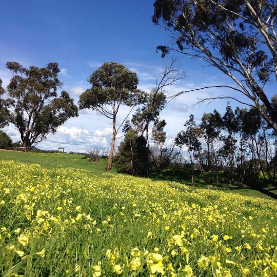 Plenty Gorge Park Tickets [2025] Promos, Prices, Reviews