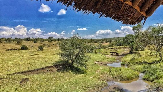 Naboisho Conservancy