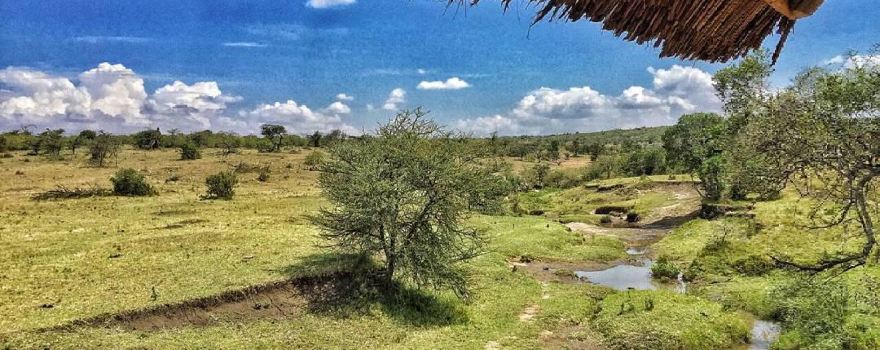 Naboisho Conservancy