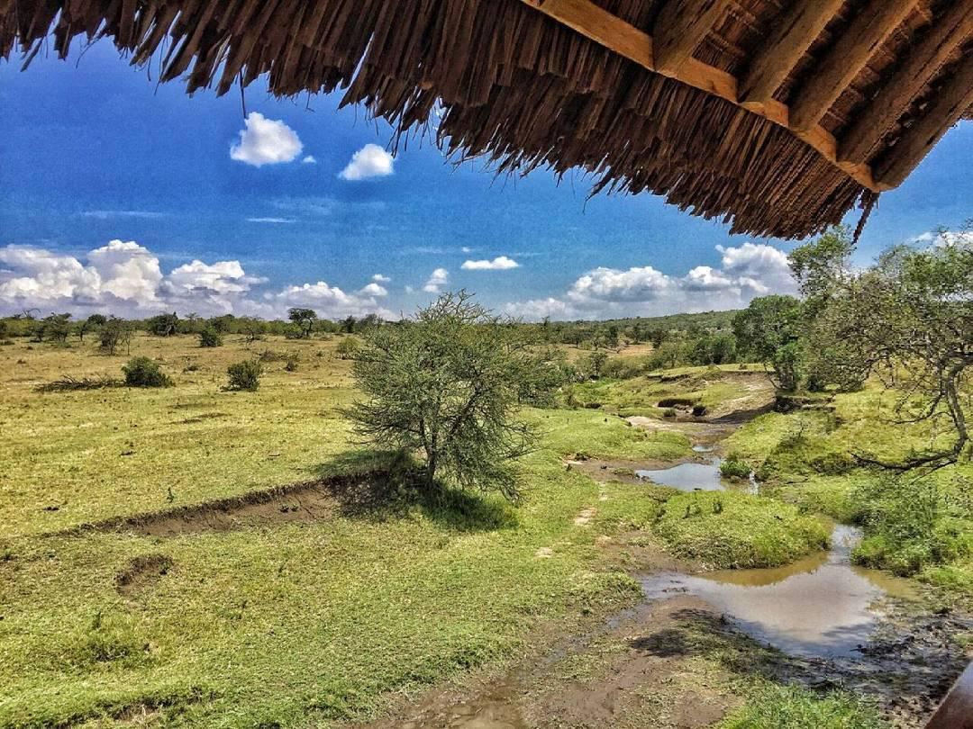 Naboisho Conservancy