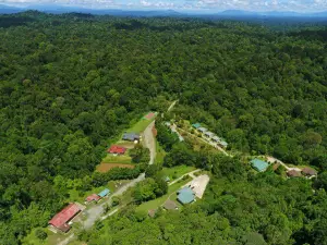 Deramakot Forest Reserve