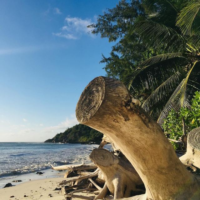 Anse Volbert Beach