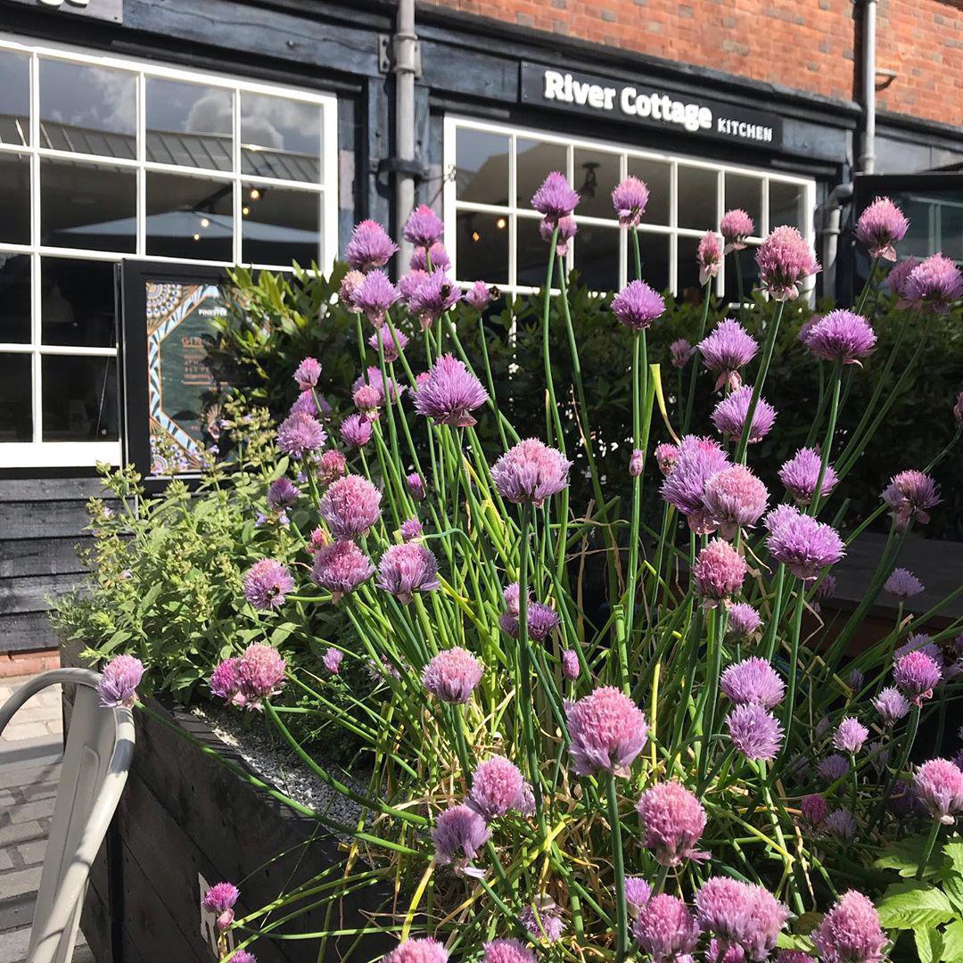 ハットフィールド ハットフィールド ハウス 評判 案内 トリップドットコム