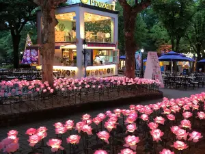 Điểm vui chơi về đêm 5 Hàng Đầu Tại Daegu