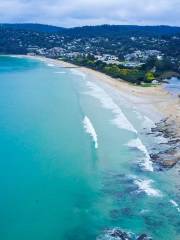 Lorne Beach