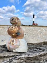 Fire Island Lighthouse