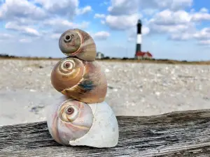 Fire Island Lighthouse