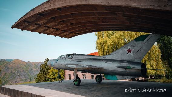 Mikoyan Brothers Museum