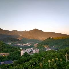 南坑咖啡观赏园 User Photo