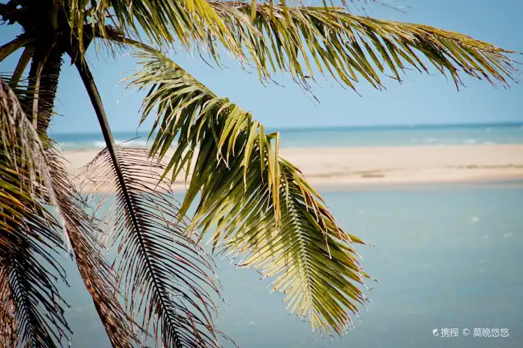 Hotels near Coconut Chau