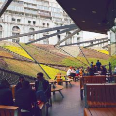 McDonald's 여행 사진