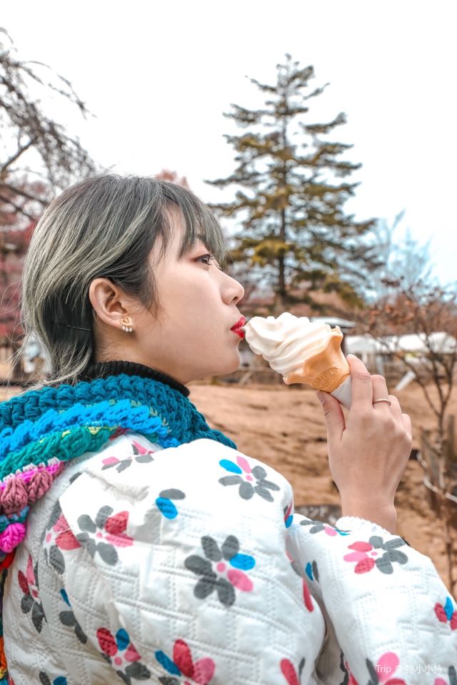 이카호 그린 목장