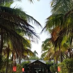 JIN PAI WAN XIAO YU CUN User Photo