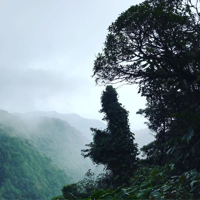 Monteverde Cloud Forest Biological Preserve