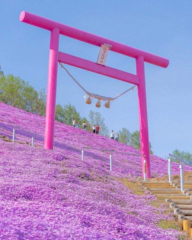東藻琴芝櫻公園
