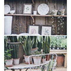 Petersham Nurseries Cafè張用戶圖片