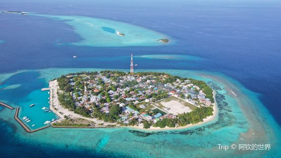 Rasdhoo