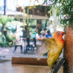 Fernpresso Cafe User Photo
