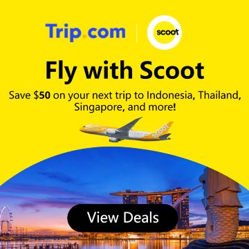 Fly with Scoot