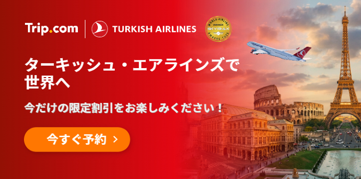 ターキッシュ・エアラインズで世界へ