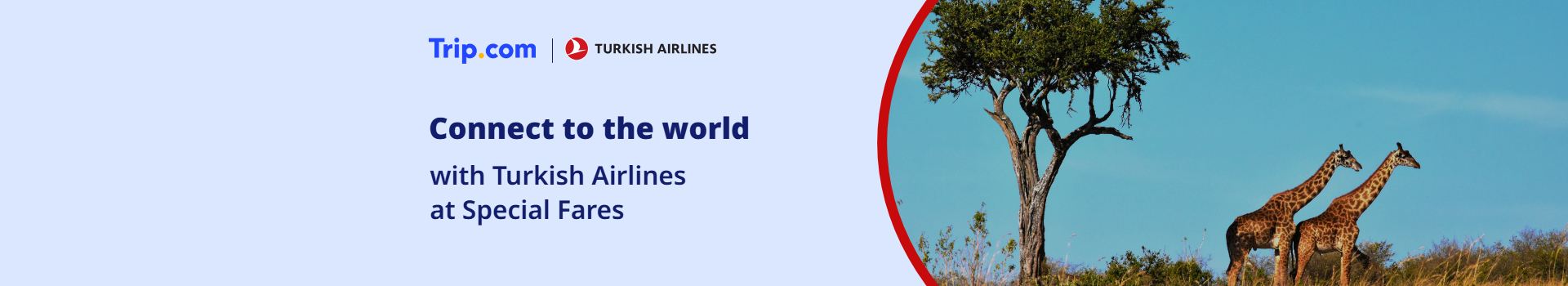 Turkish Airlines Special Fares: Fly to 350+ Destinations