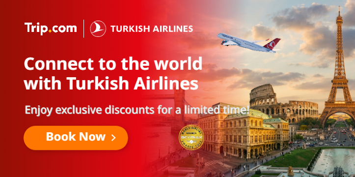 Connect Globally with Turkish Airlines