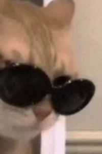 M305545**** 澳門藝舍 - （前 澳門新新酒店）優惠