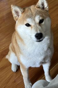 Shengweibushuohua 錦江都城飯店（廣州白雲新城萬達廣場店）優惠