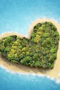 M29539**** 水雲嵐飯店（武漢江漢路步行街店）優惠