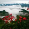 Avatar 1